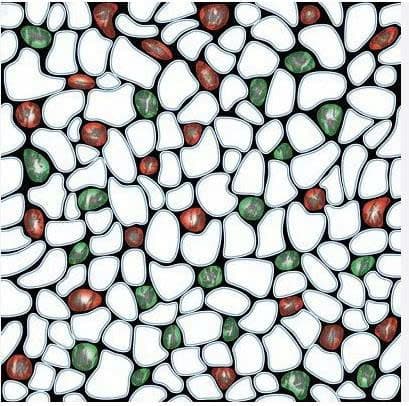 Gạch PRIME 2374 – 30x30cm