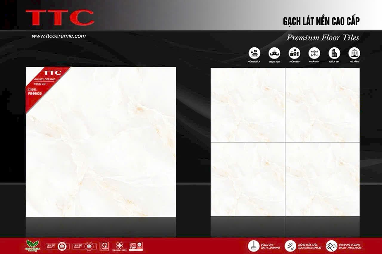 Gạch TTC 66035 – 60x60cm